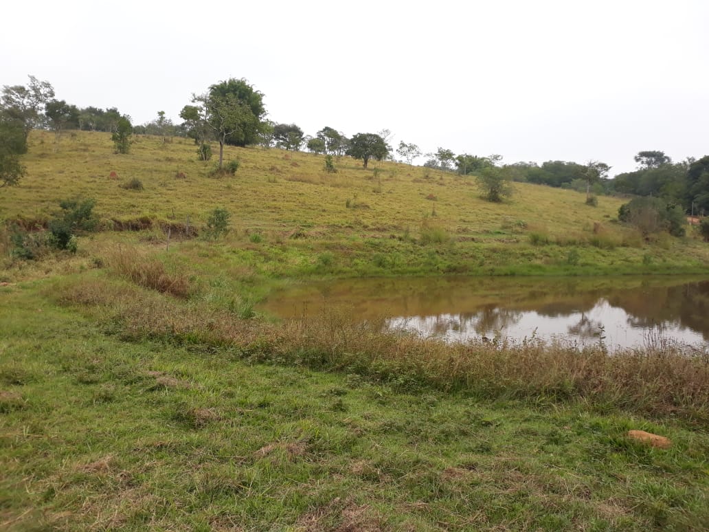 Sitio - 15 hectares em Taubaté/SP